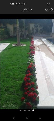 زراعة الحدائق وشبكة الرى