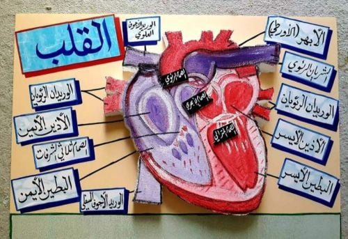 محمد إبراهيم الأسواني
