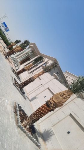 زراعه النخل
