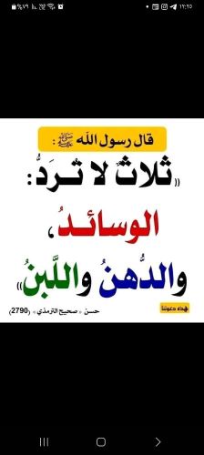 محمد الامين