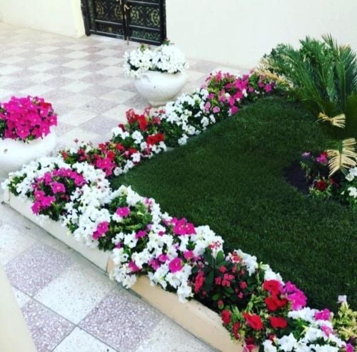 تنسيق وزراعة