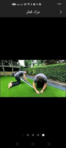 حشيش صناعى للبيع