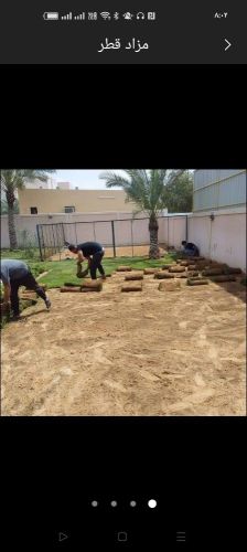 زراعة الفيلا والبيوت