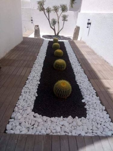 حصه زينه