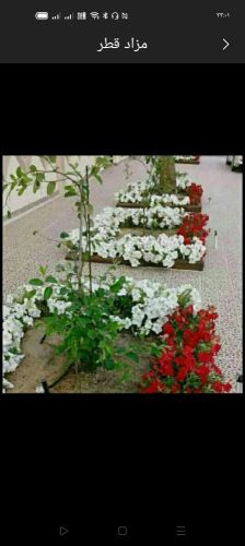 زراعة الفيلا والبيوت