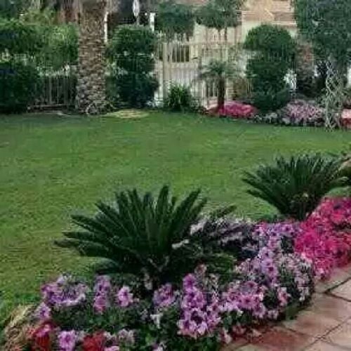 منسق حدائق