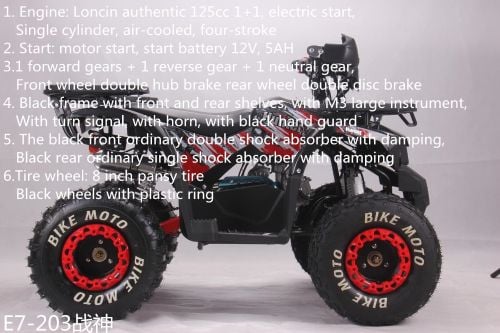 big petrol buggy atv road