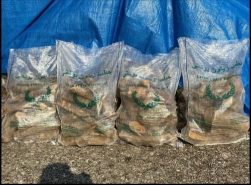 حطب زيتون  جبالي يابس وممتاز