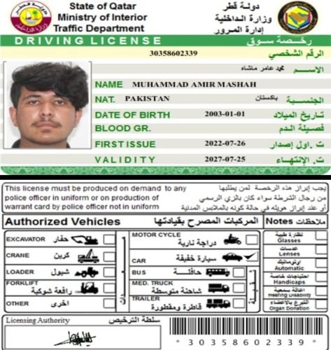 Muhammad Amir
