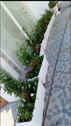زراعه الحدائق