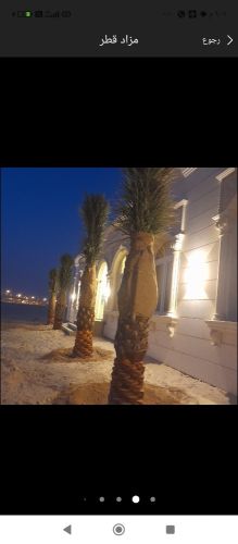 نخيل خدمات