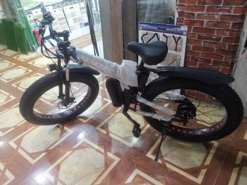 Wide tire electric bicycle