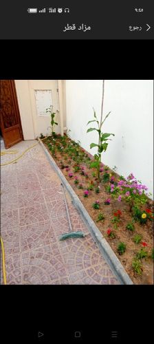 تنسيق وزرعه الحديقة والصيانة