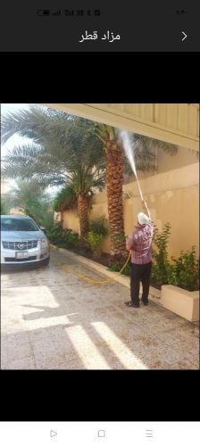 رش مبيدات النخيل والحديقة