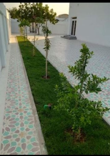 صيانه الحدائق