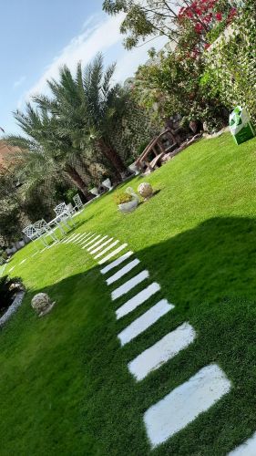 تنسيق وزراعة