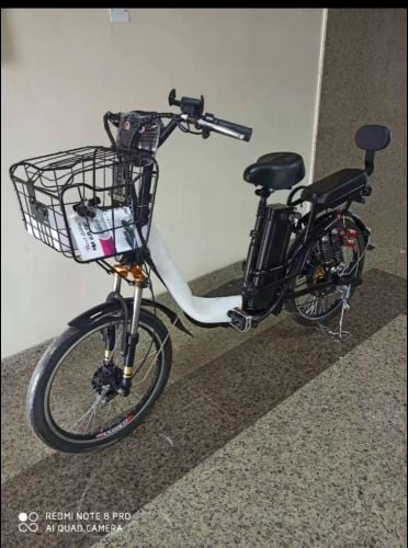 big Electric bicycle bike
