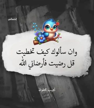 معلمة تربية خاصة 