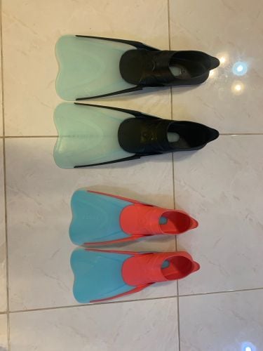 fins 