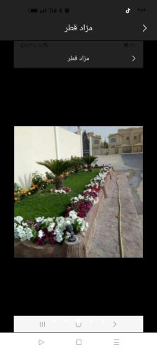 زراعة الفيلا والبيوت