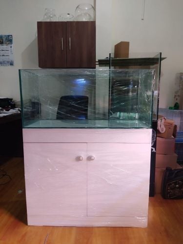 Fish tank / Aquarium customised