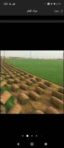عشب طبيعي وصناعى للبيع