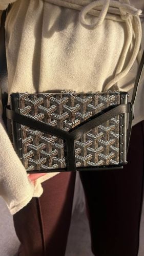 Goyard Minaudiere Trunk Bag