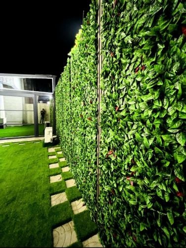 Garden, Pergola, & Home Decor