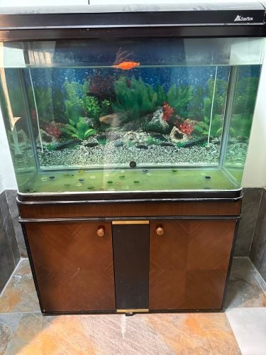 حوض سمك 60 جالون مع تخزين