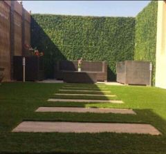 عشب ومناظر طبيعية