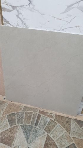 bolad carpet gress barkia