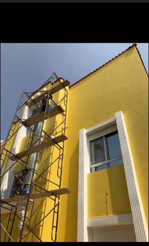 professionally painting