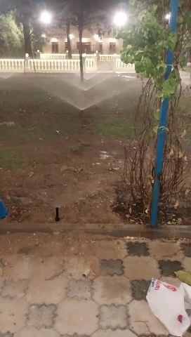 زراعه وديكور