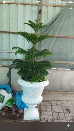 احواض زراعيه