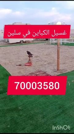 غسيل الكرفنات