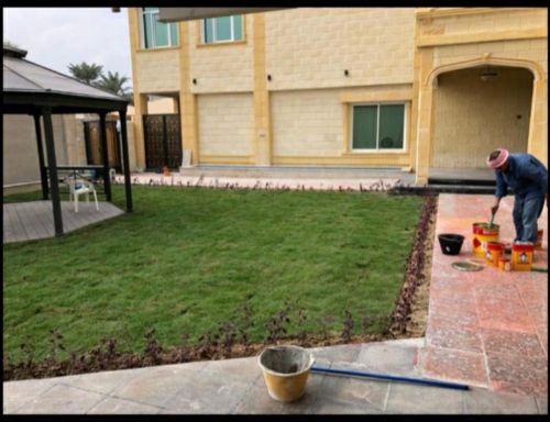 زراعة العشب الاخضر