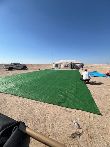 العشب الأخضر والسجاد