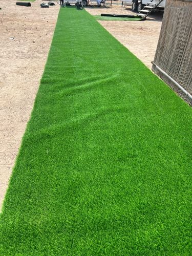 grass carpet camps /home