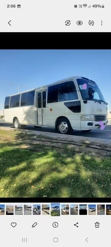 buses