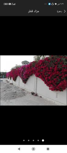 مزارع ومنسق حدائق