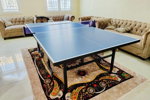 table tennis 
