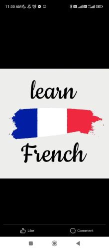 Tunisian french teacher