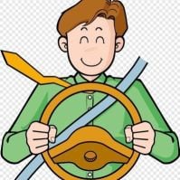 Indian driver for a company