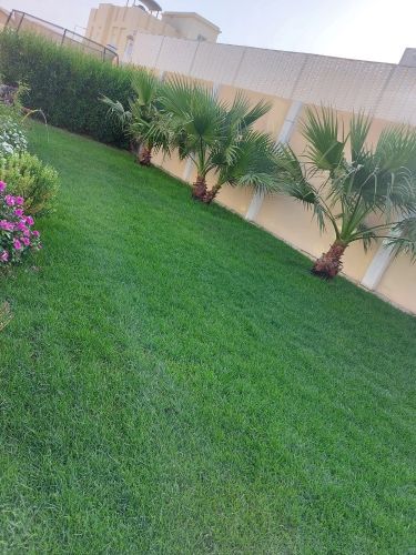 زراعه