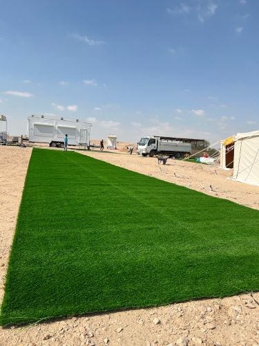 سجادة من العشب الأخضر