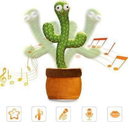 Talking toy cactus