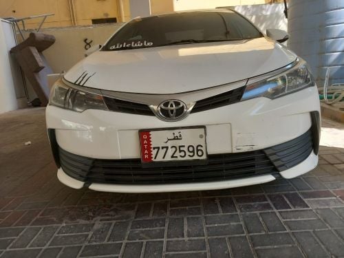 أنور بشير