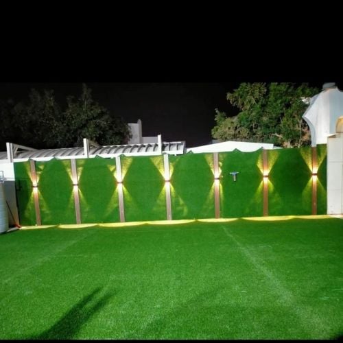 curtins grass korci
