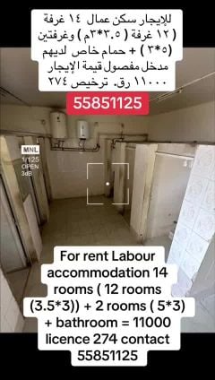 for rent 14 rooms Laib our 