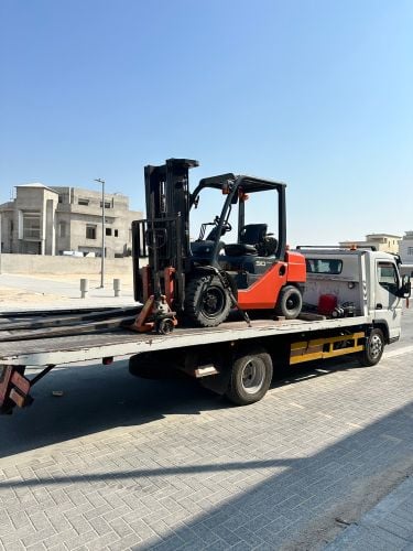 Hemalion Trading Company 